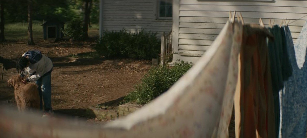 The Woman In The Yard (2025) 