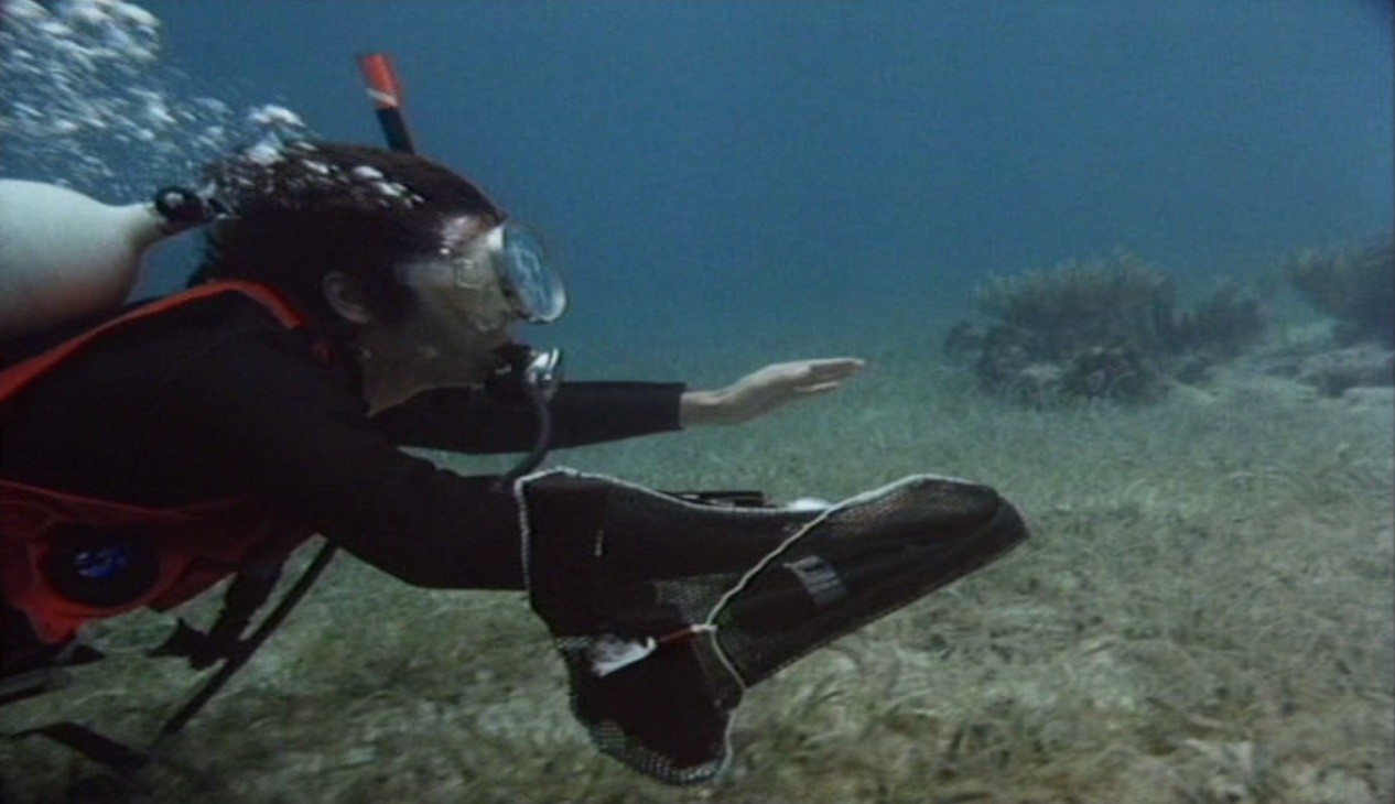 Barracuda de Harry Kerwin - 1977