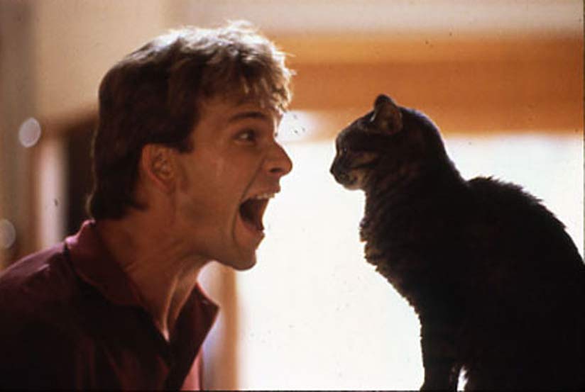 Ghost (1990)