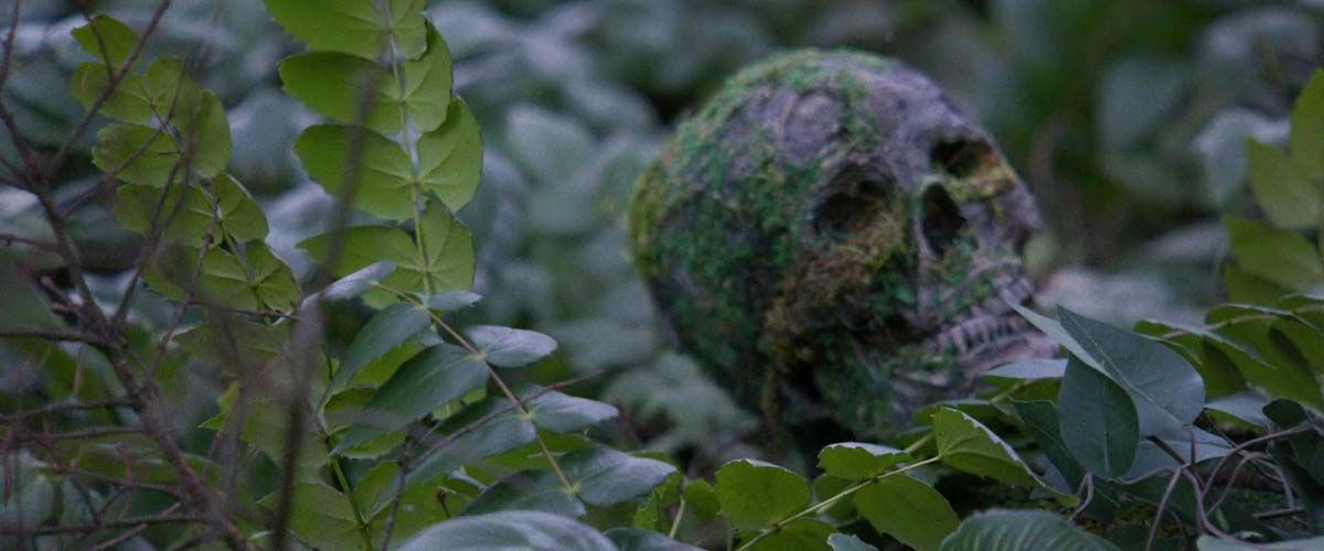 Die Alone (2024) 