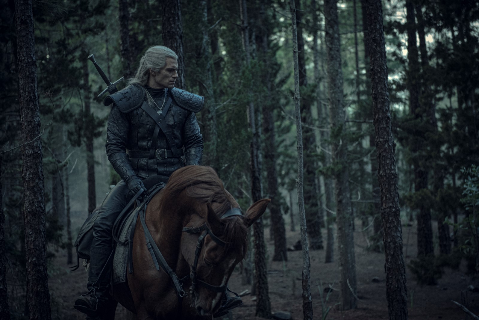 The Witcher - Saison 1 (2019) 