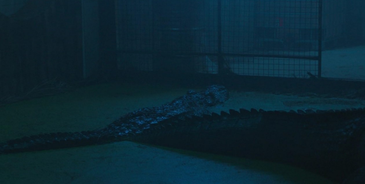 The Bayou (2025) 