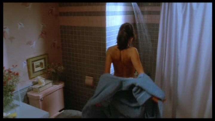 Le Beau-Père (1987)  