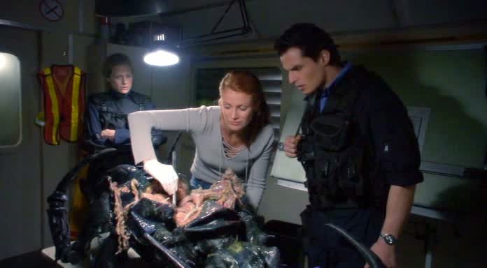 Bugs - 2003