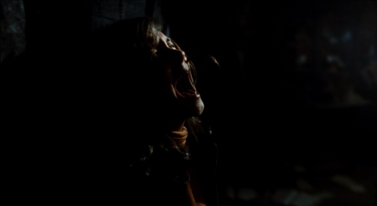 Don't Be Afraid Of The Dark de Troy Nixey - 2010 / Epouvante - Horreur