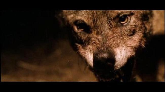 L'Enfer Des Loups (2004)