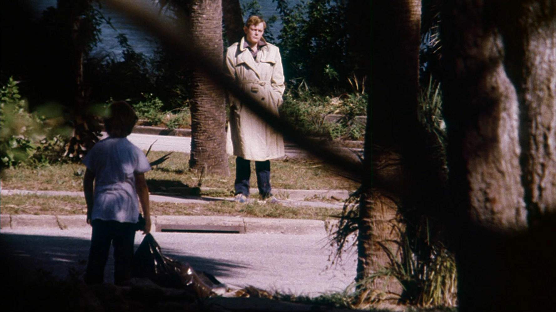 Cauchemars à Daytona Beach (1981)