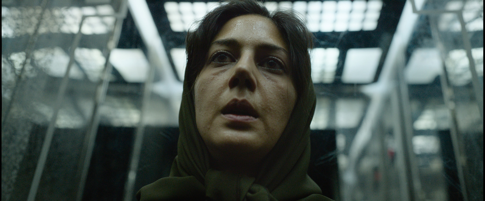 Les Nuits de Mashhad (2022)