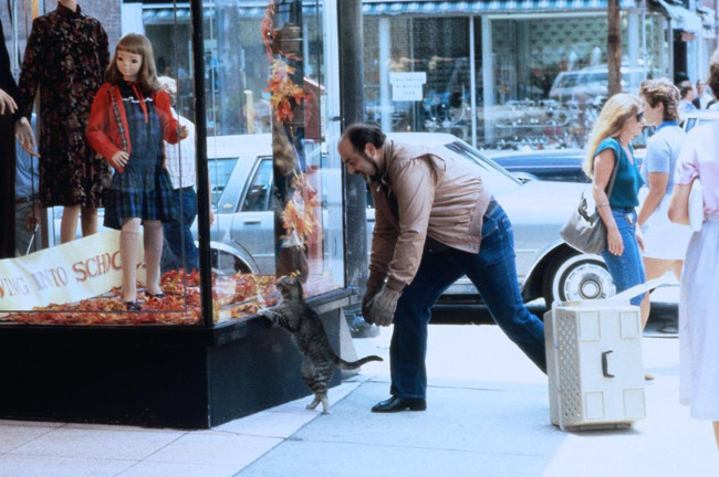 Cat's Eye de Lewis Teague - 1985