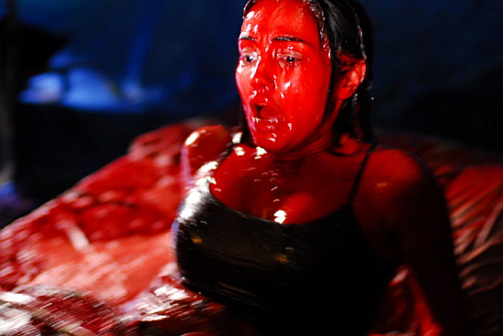 Hit And Run (2009)