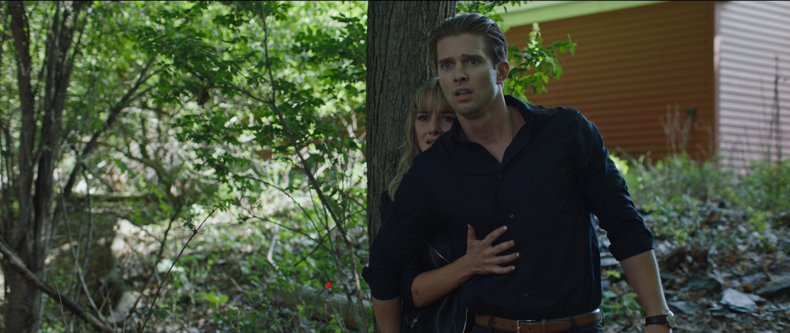 Life Like (2019)