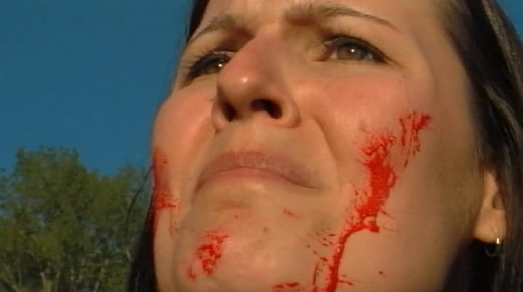 Zombie Allegiance (2010) 