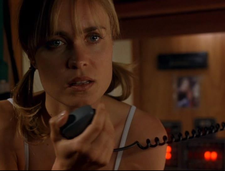 Visitors (2003) 
