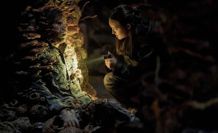 The Last Of Us - Saison 2 