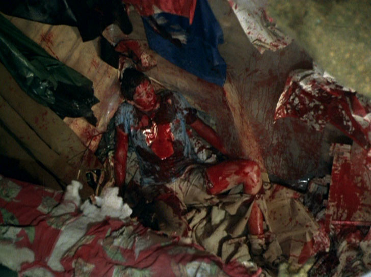 Don't Go In The Woods de James Bryan - 1981 / Survival - Slasher