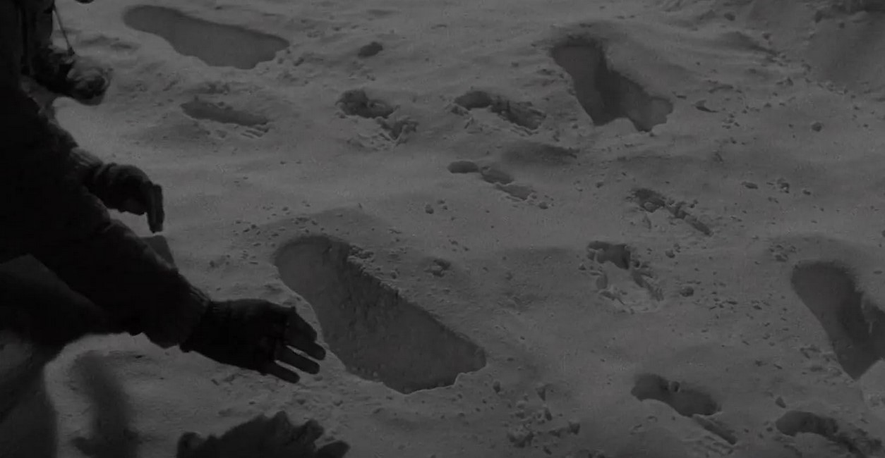 Le Redoutable Homme Des Neiges (1957)
