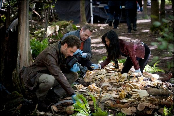 Hannibal - Saison 1