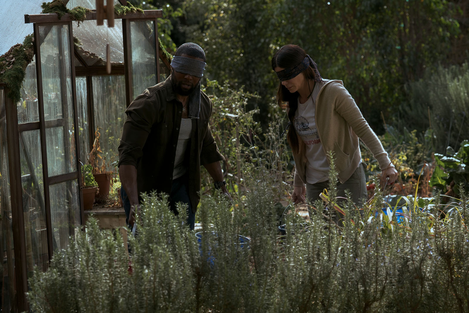Bird Box (2018)
