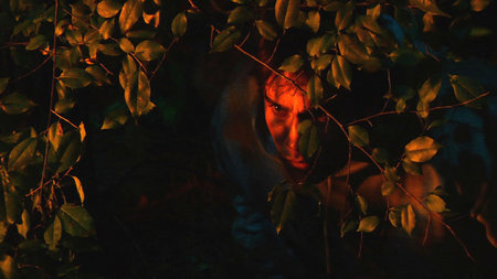 Witches' Night (2007) 