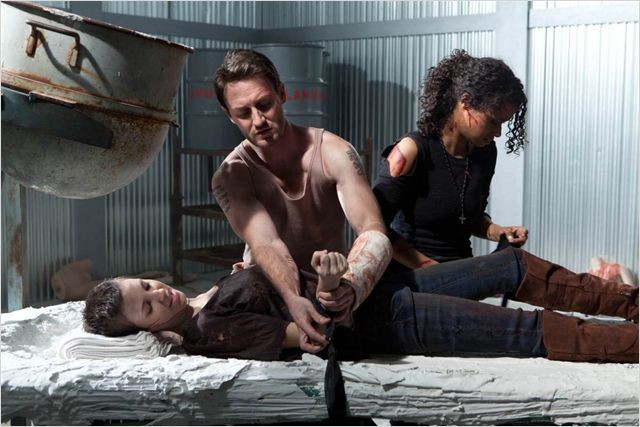  The Collection (2012)