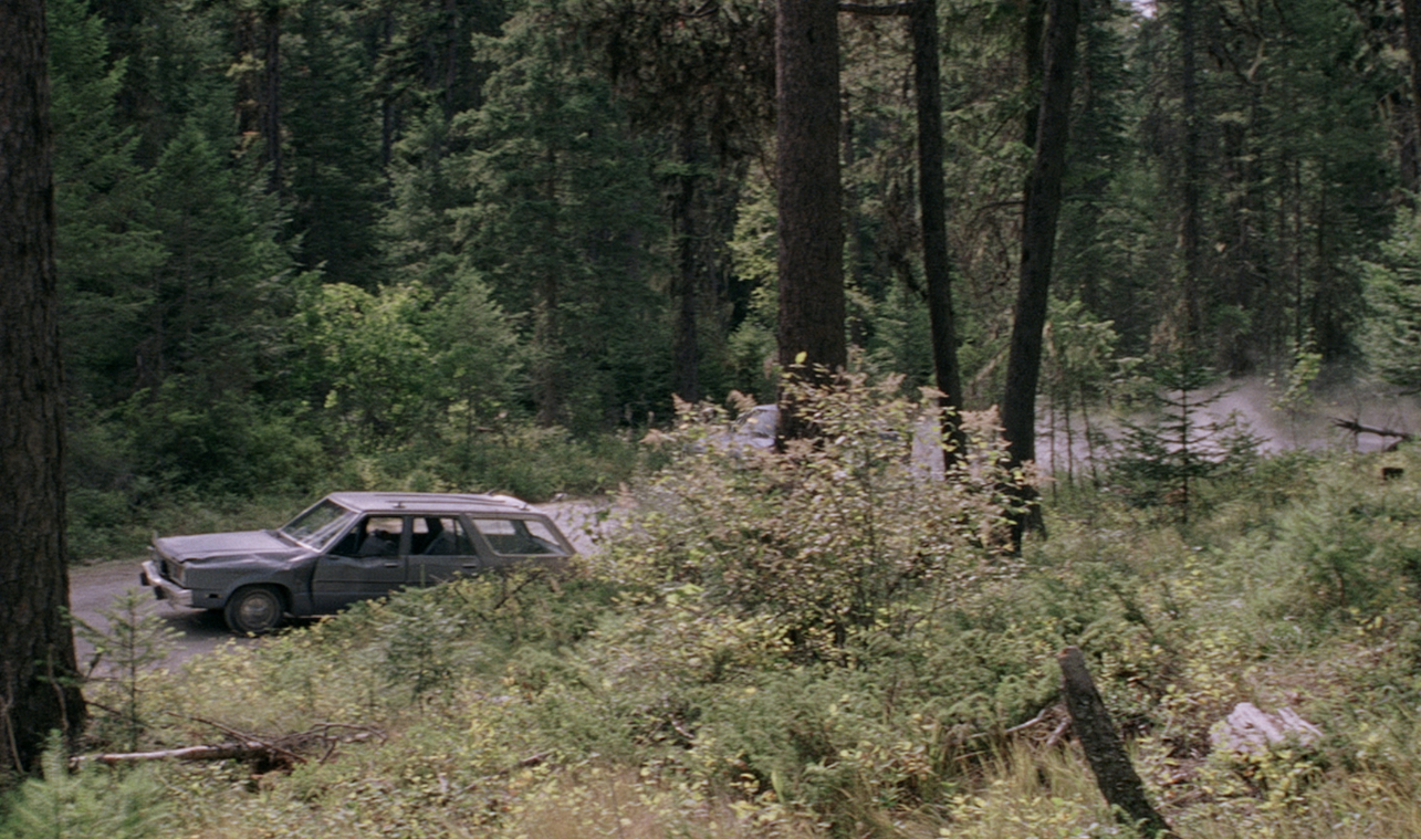 The Sighting - Travis (2016)