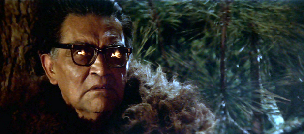 Prophecy - Le Monstre Est Né de John Frankenheimer - 1979 / Horreur - Animal Tueur  