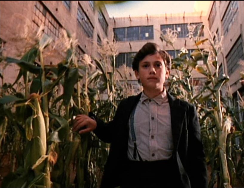 Les Démons Du Maïs 3 (1995) 