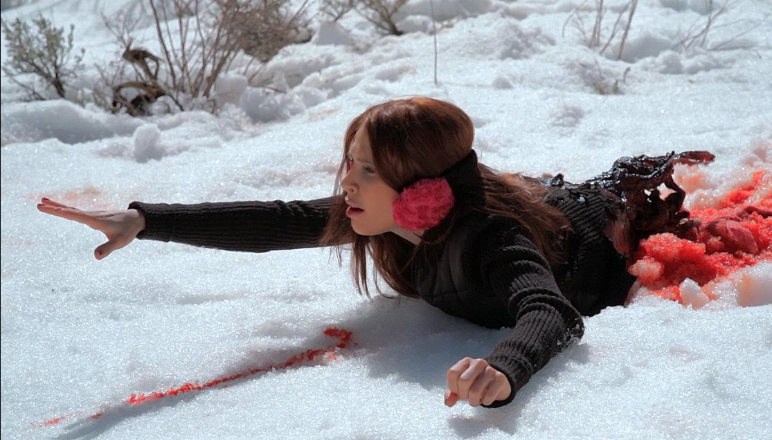 Avalanche Sharks (2014)