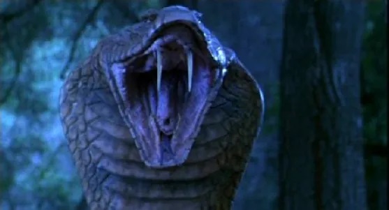 King Cobra (1999) 