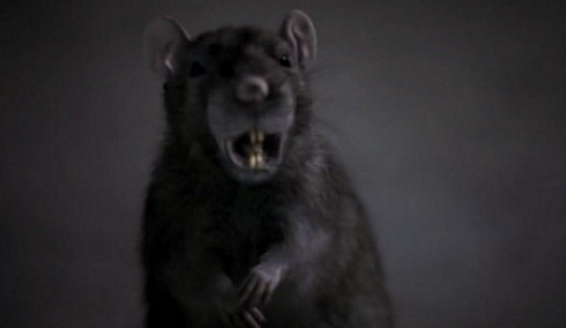 Les Rats (2002) 