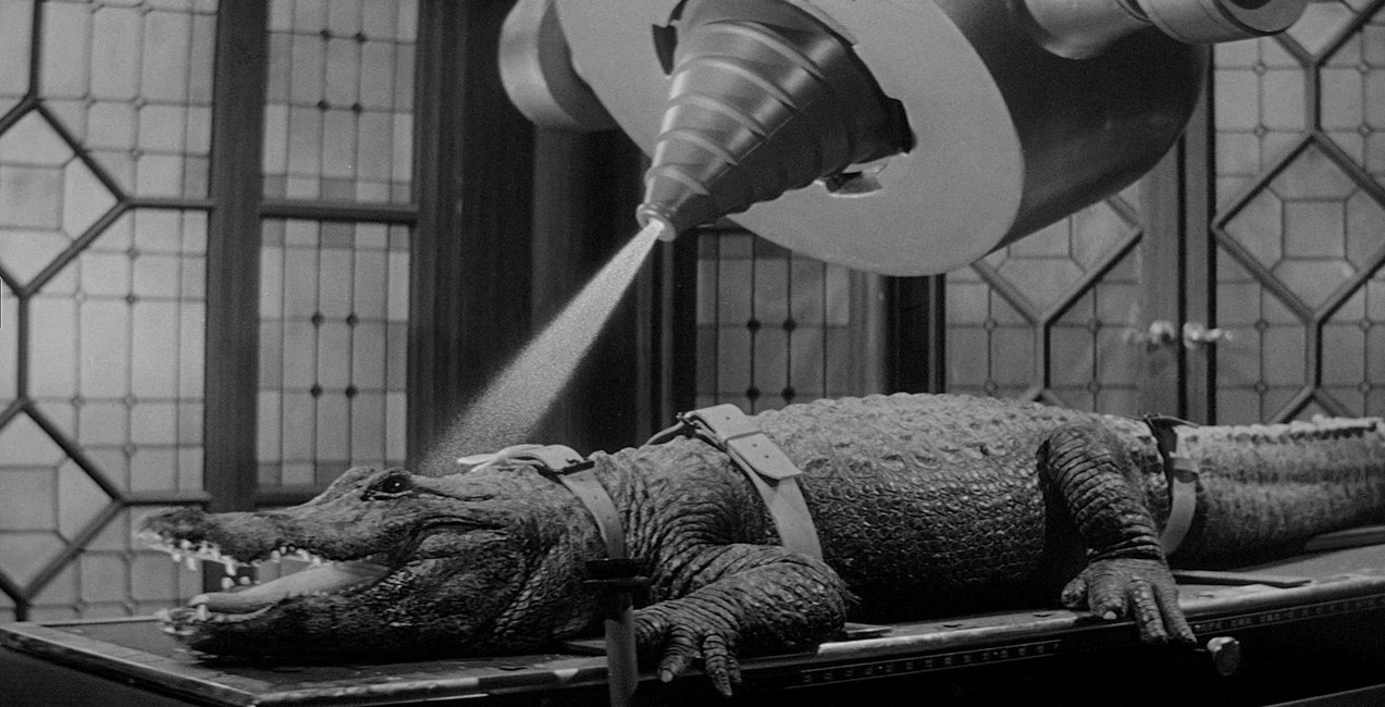 The Alligator People (1959) 