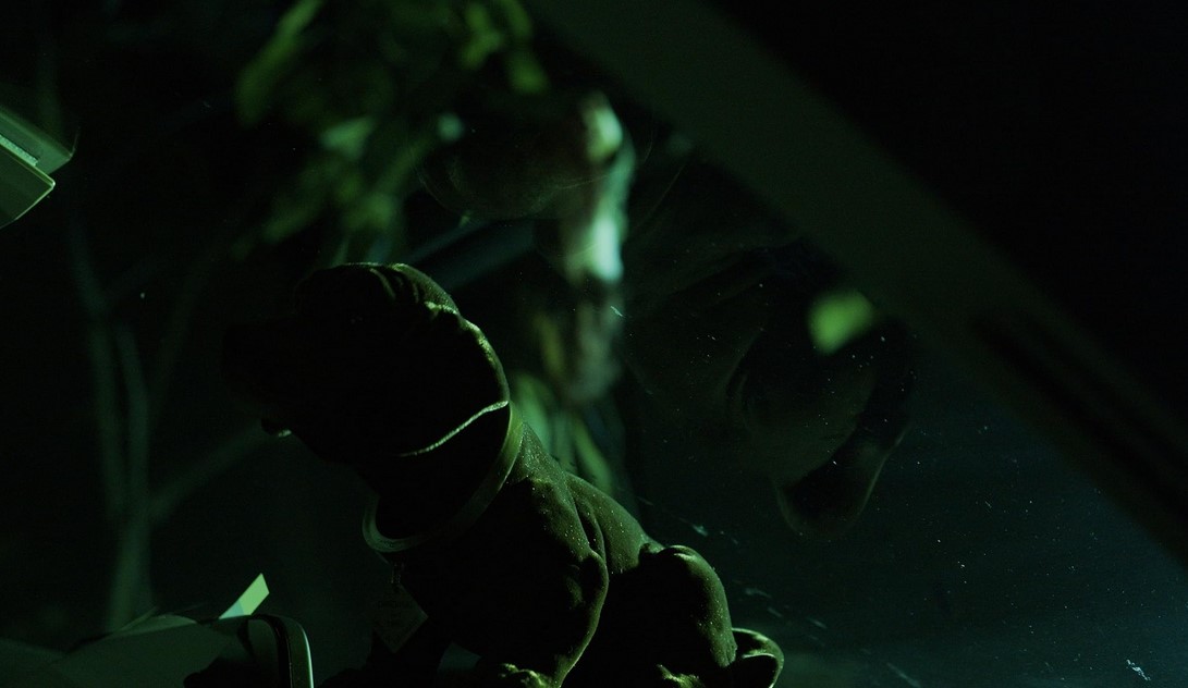 Night Of The Skinwalkers (2024)
