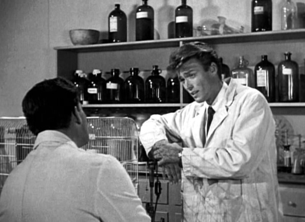 La Revanche De La Créature (1955)