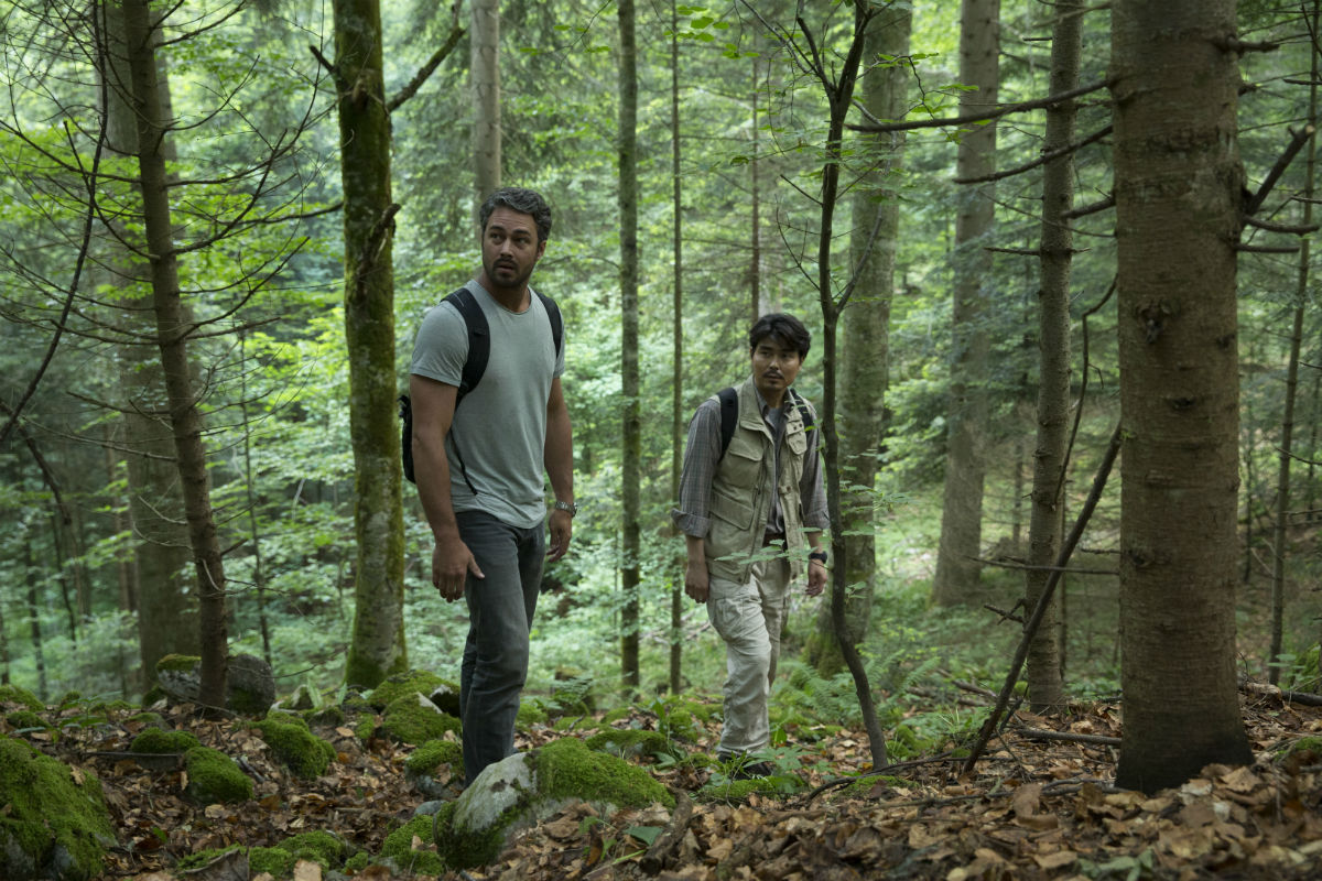 The Forest (2016) 