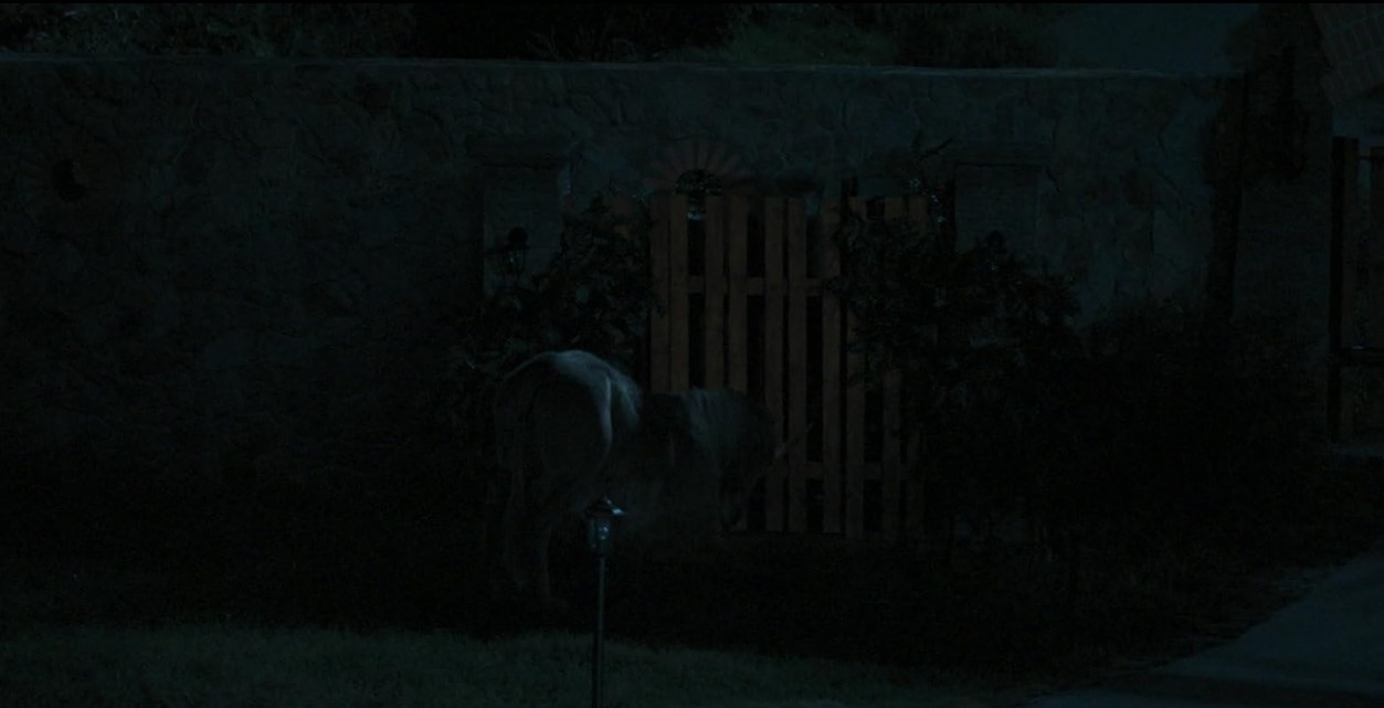 Death Of A Unicorn (2025 /de Alex Scharfman) 