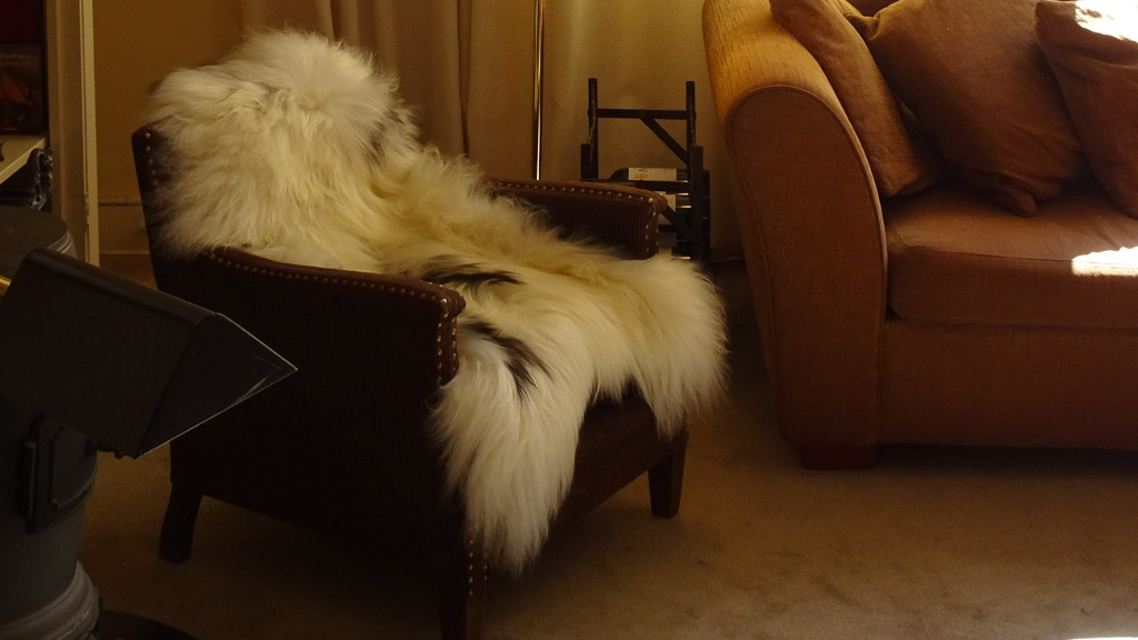 ...a Sheepskin in our favorite couch!