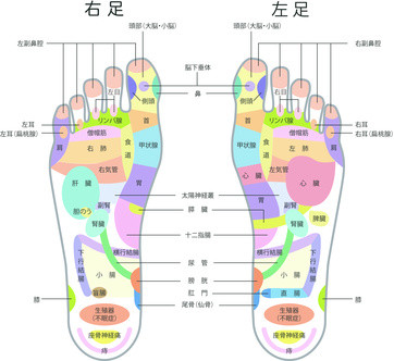 Q A 美胸足ツボサロン スクールlalastep