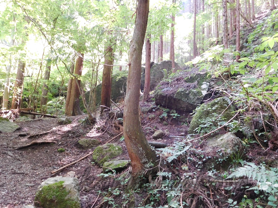 石老山の岩