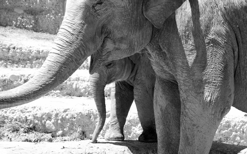 Erinnerung an Omysha