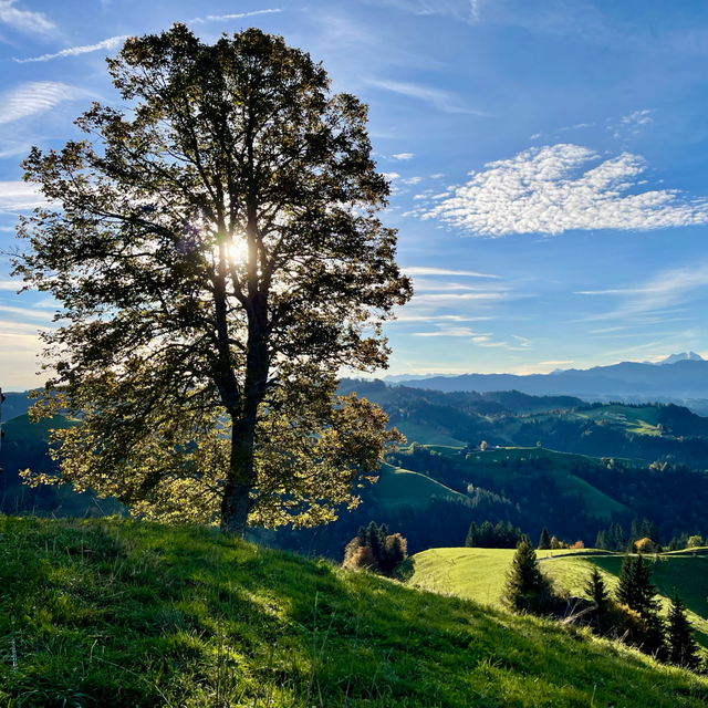 Ober Rafrüti, Emmental
