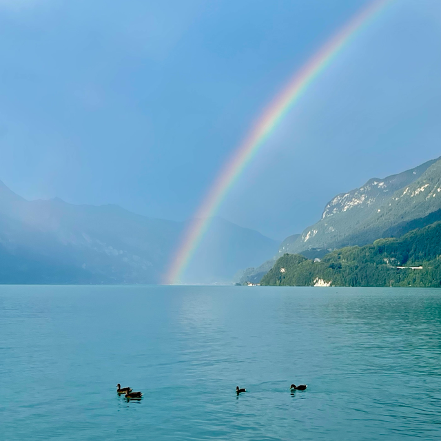 Brienzersee