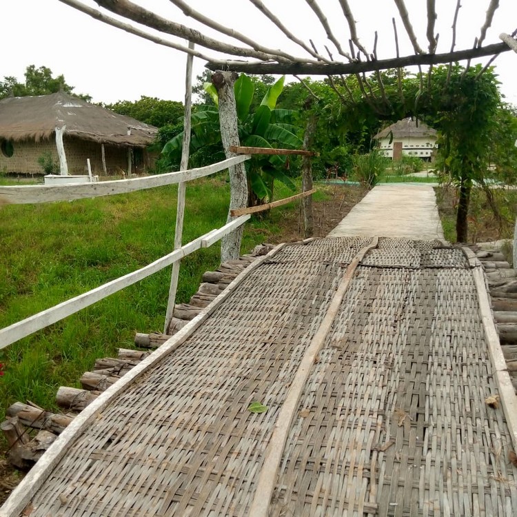 Pont amitié