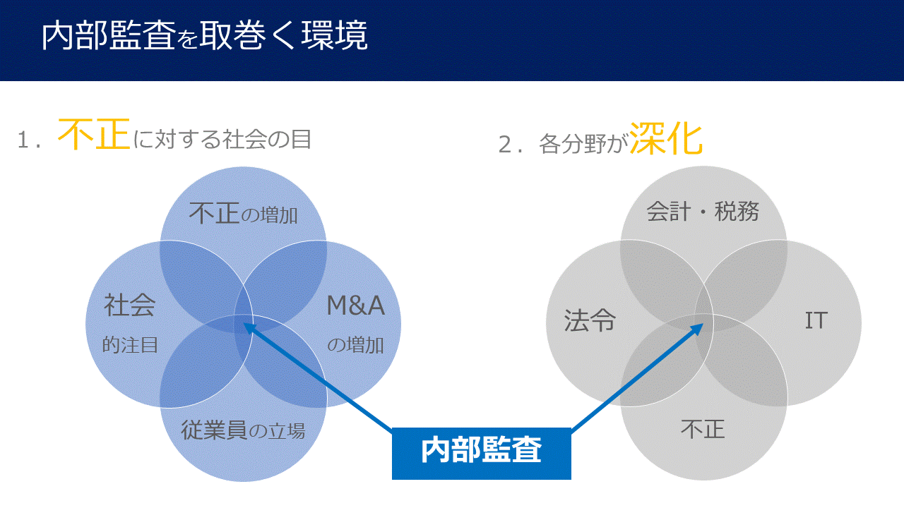 内部監査アウトソーシングサービス～監査の品質確保とコスト削減の実現～
