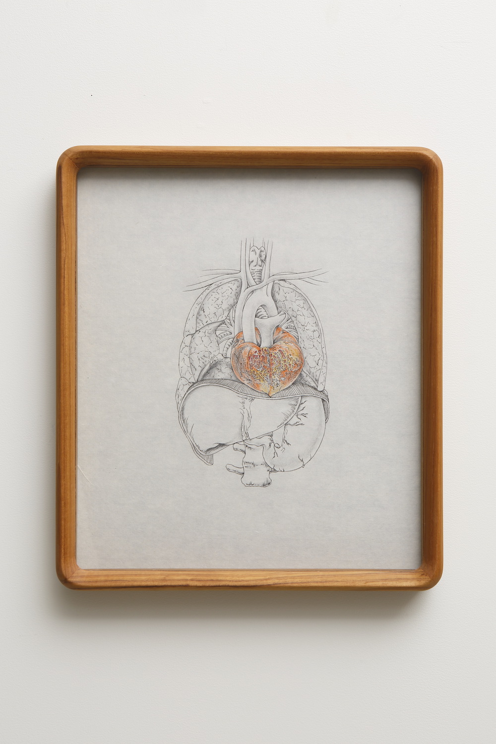 Tabaimo, flow-wer 020, 2015, ink, bees wax crayon, color pencil and pencil on Japanese paper, 39 x 33.8 x 4.6 cm (frame) 