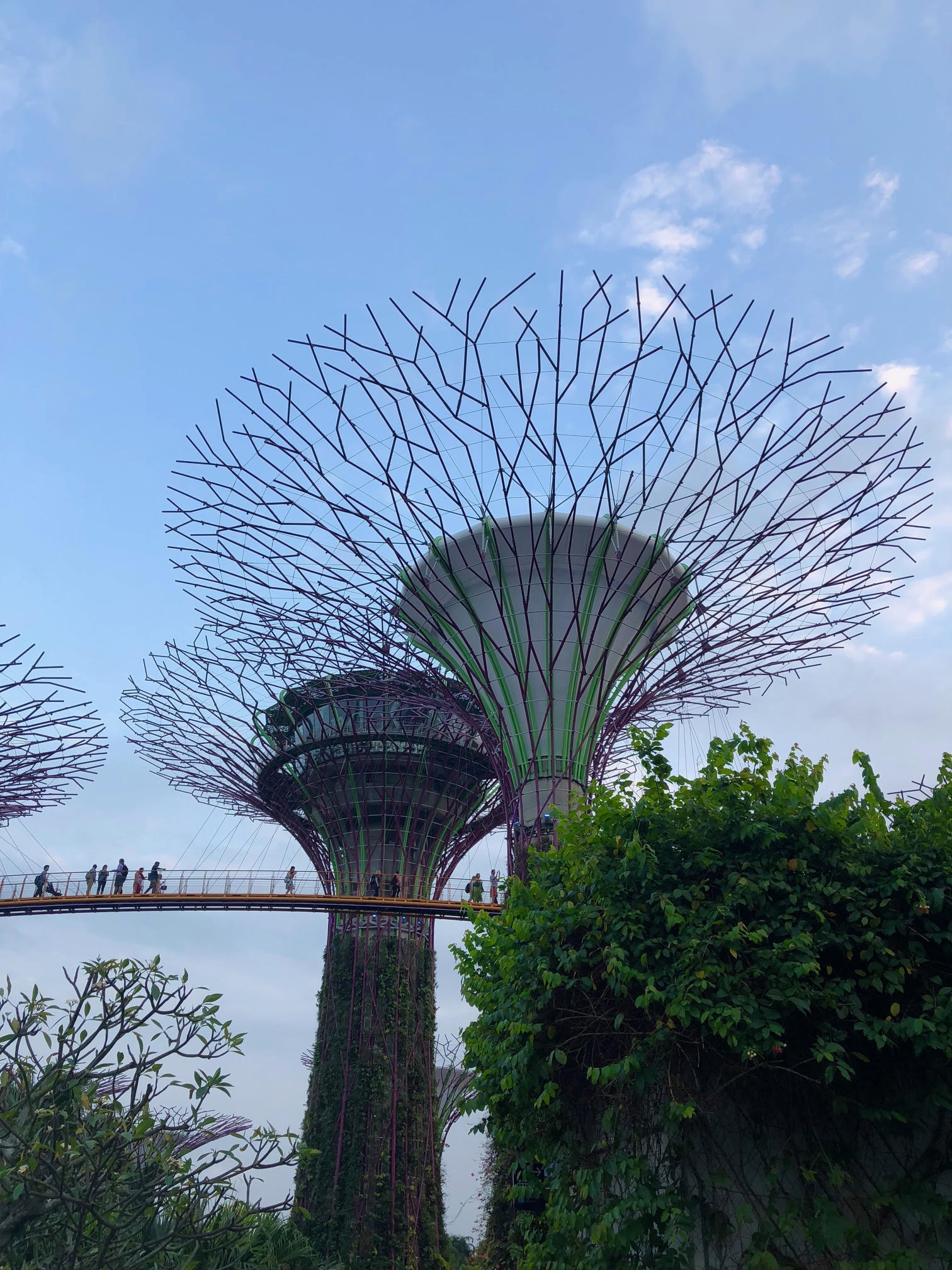 Singapur © Tiegel-Reisen