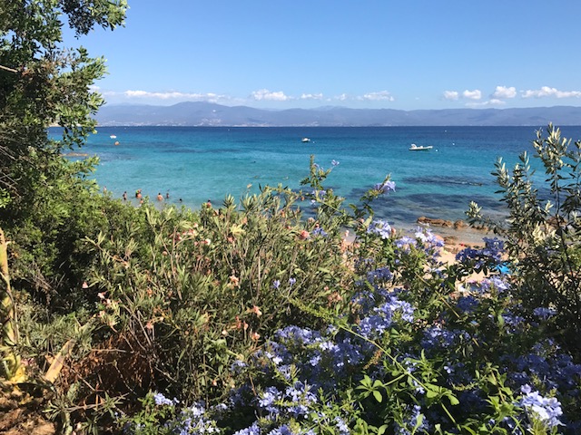 Ajaccio (Korsika) © Tiegel-Reisen