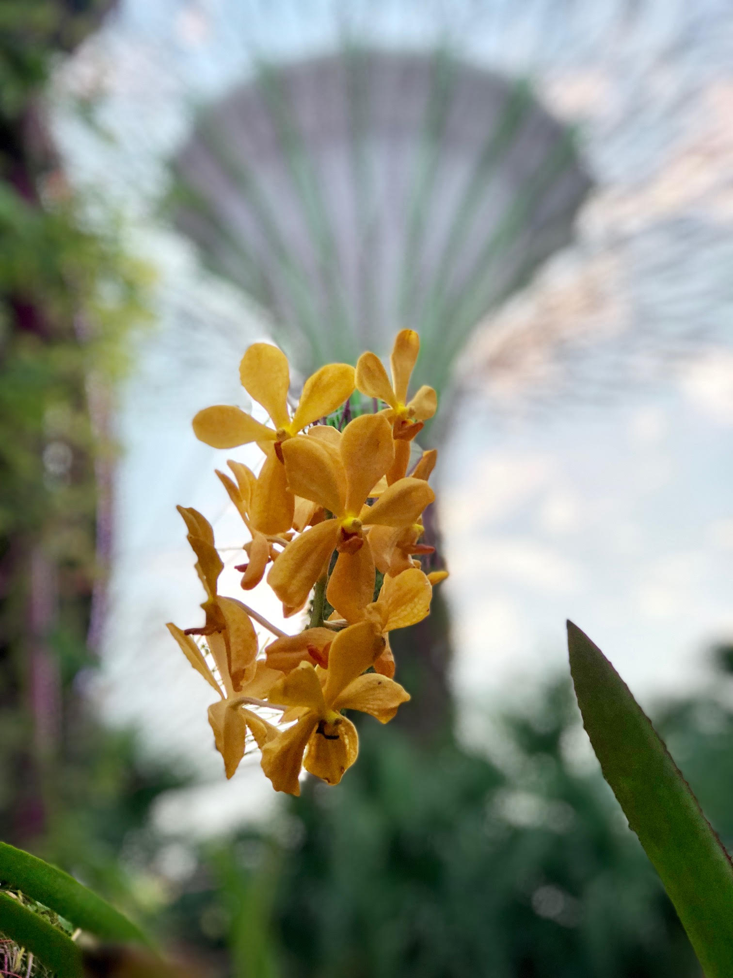 Singapur © Tiegel-Reisen