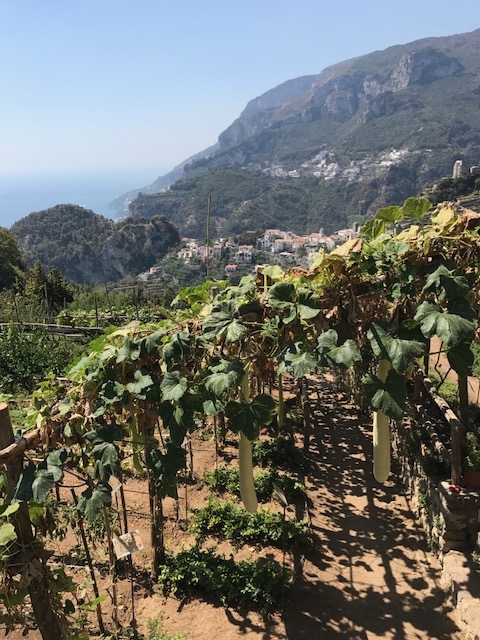 Amalfi (Salerno) @ Tiegel-Reisen