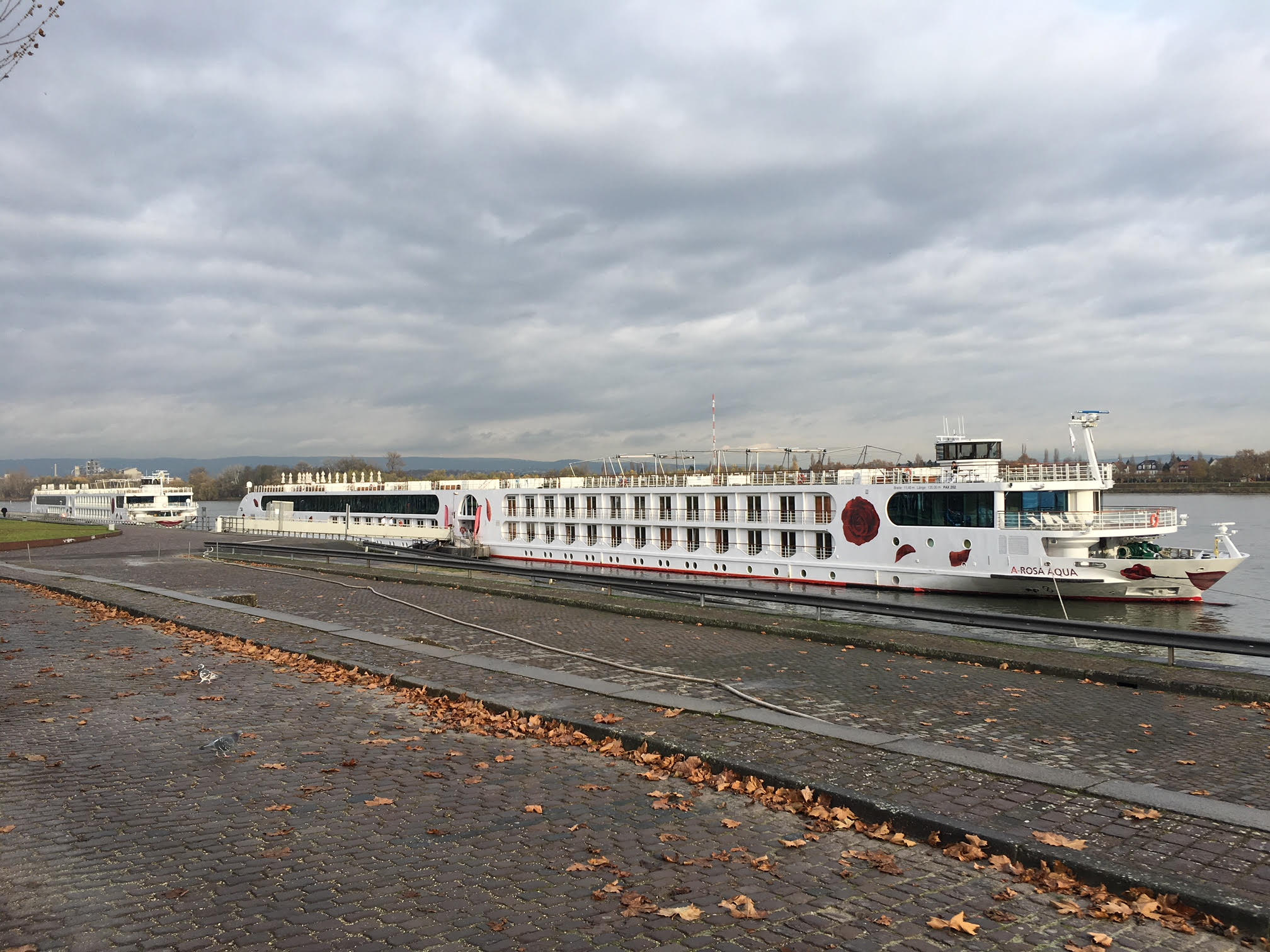 Flussfahrt mit A-ROSA © Tiegel-Reisen