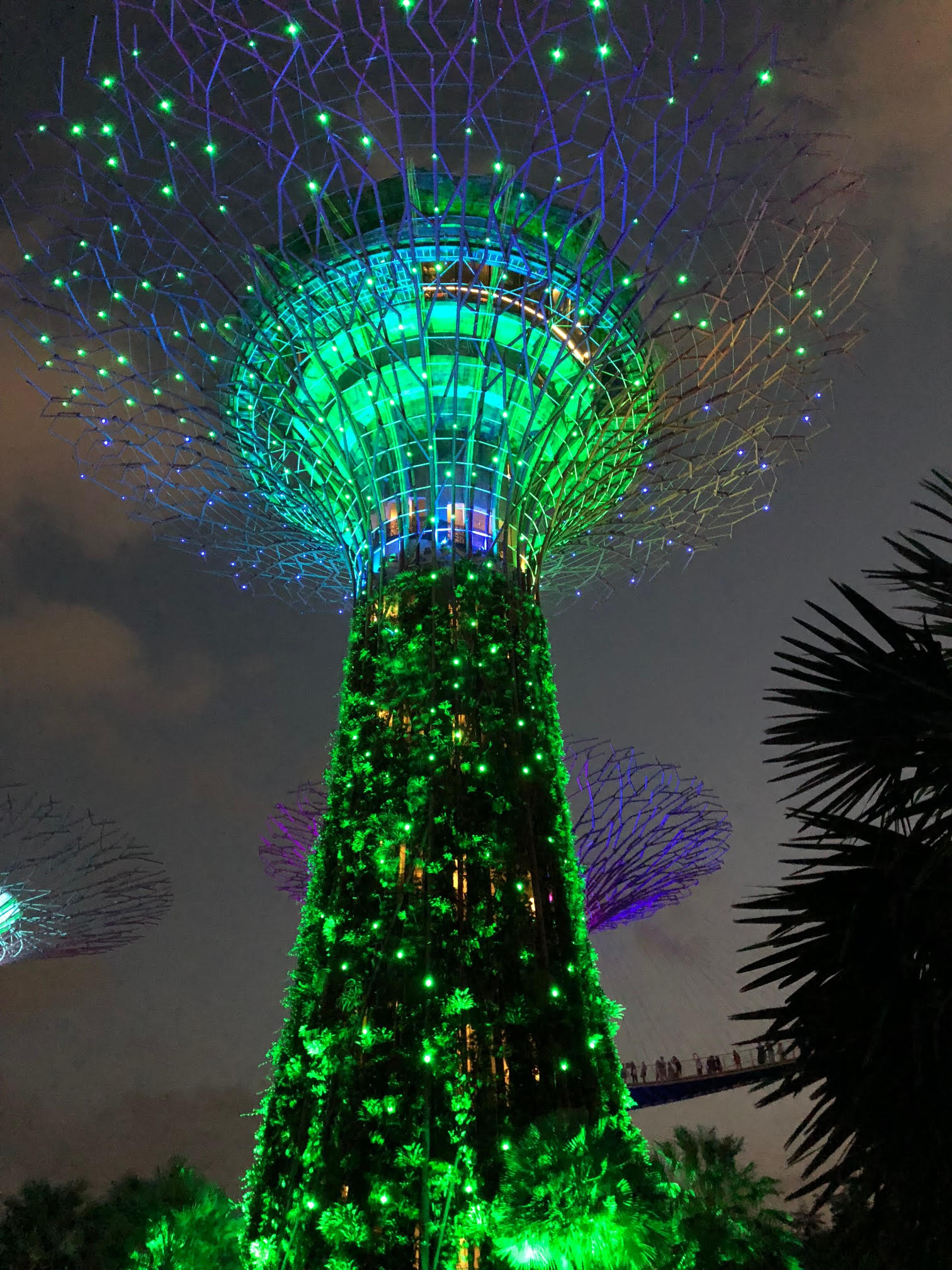 Singapur © Tiegel-Reisen